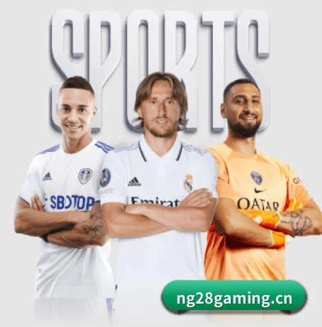 南宫28 APP 界面 | NG28
